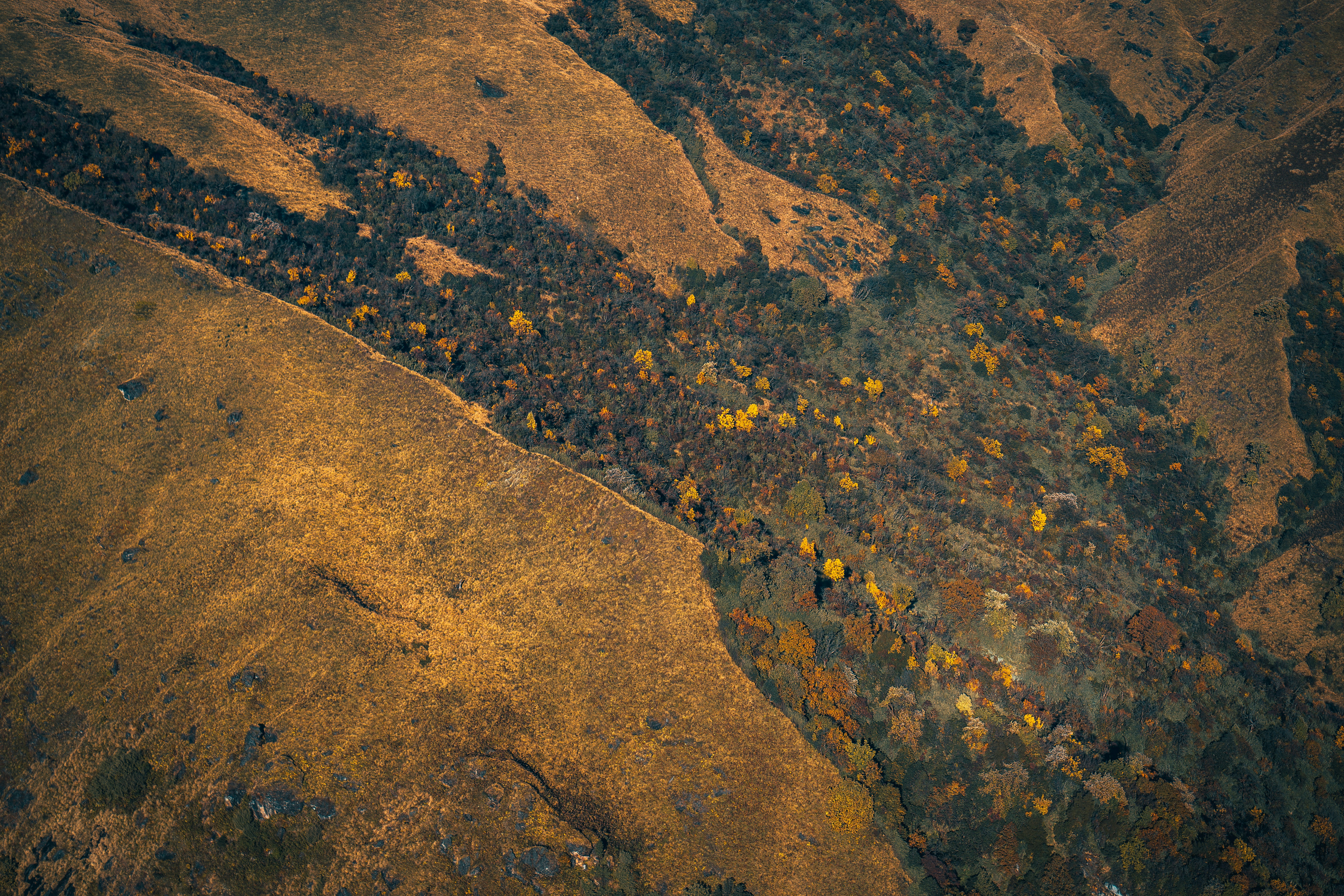 Photo by raimondklavins