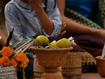 Close-up of sacred herbs and natural elements used in the Niños Santos ceremony.