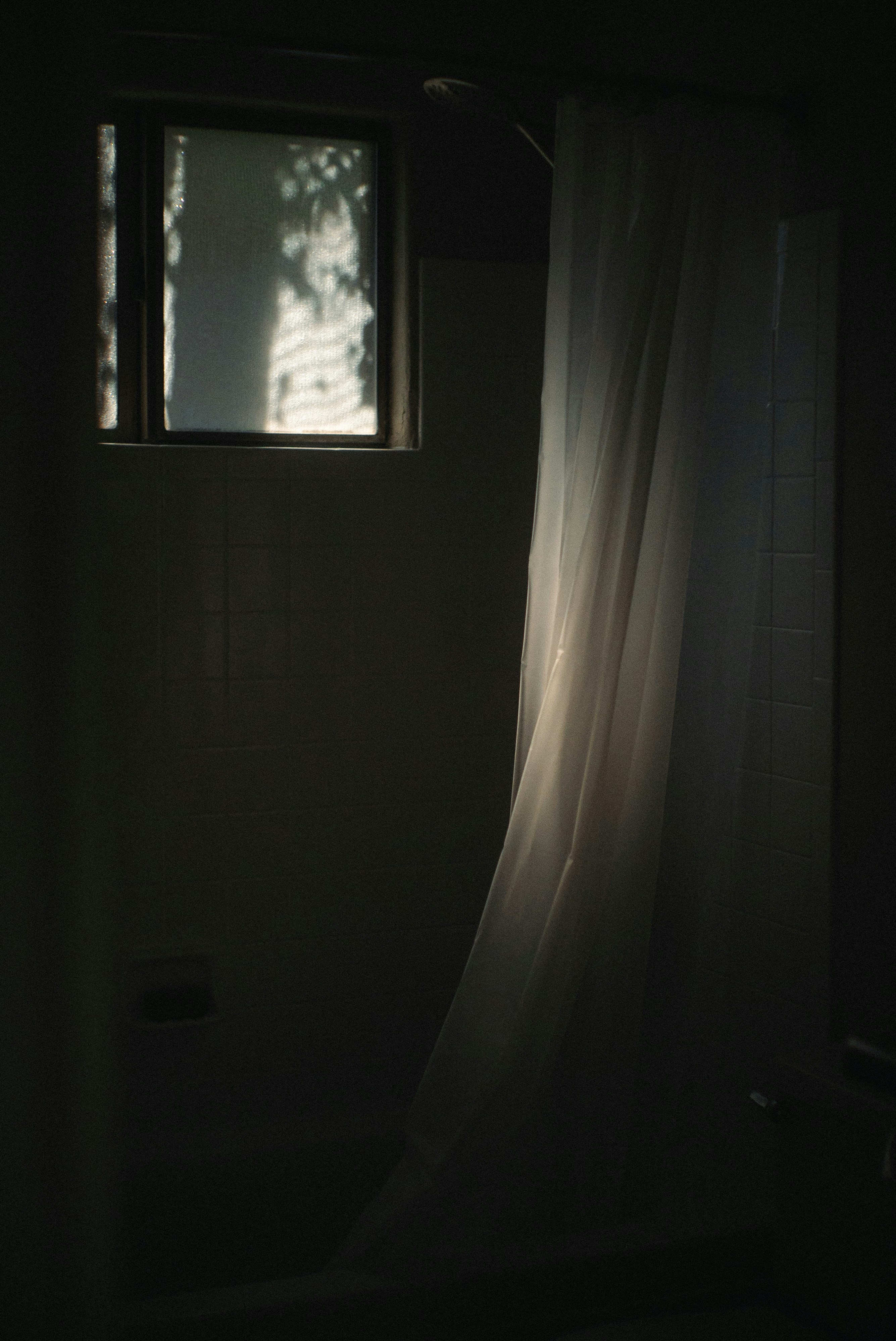 Photo by tylerchandlerr