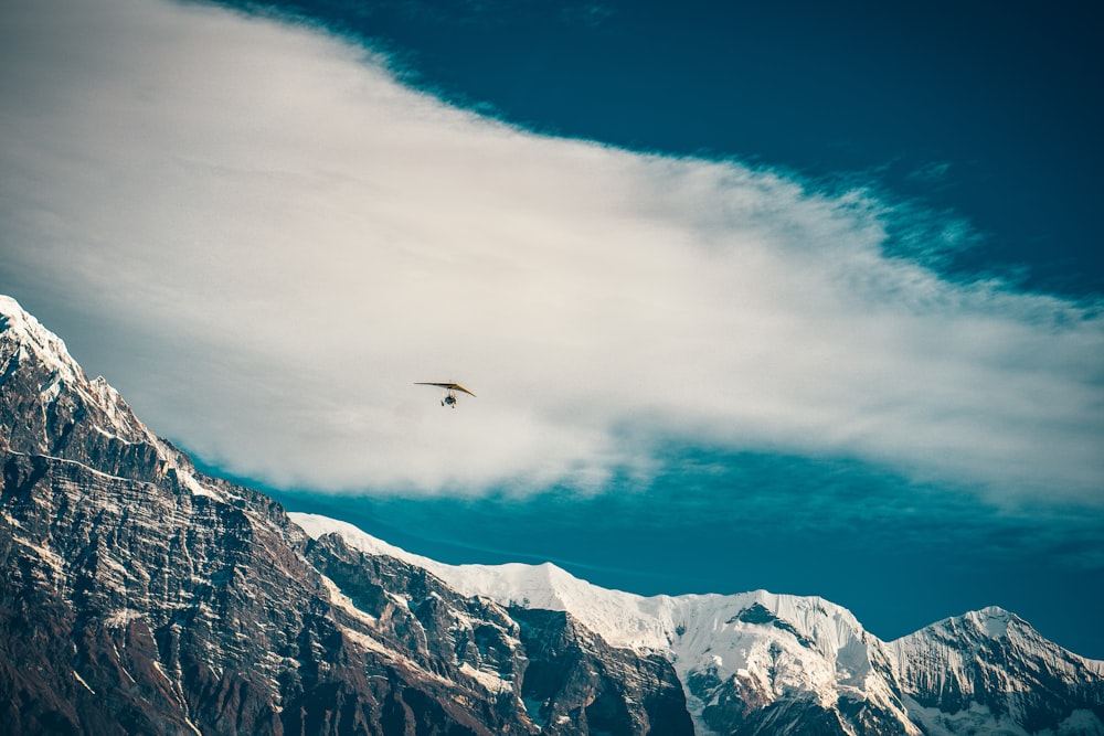 black bird flying over snow covered mountain during daytime