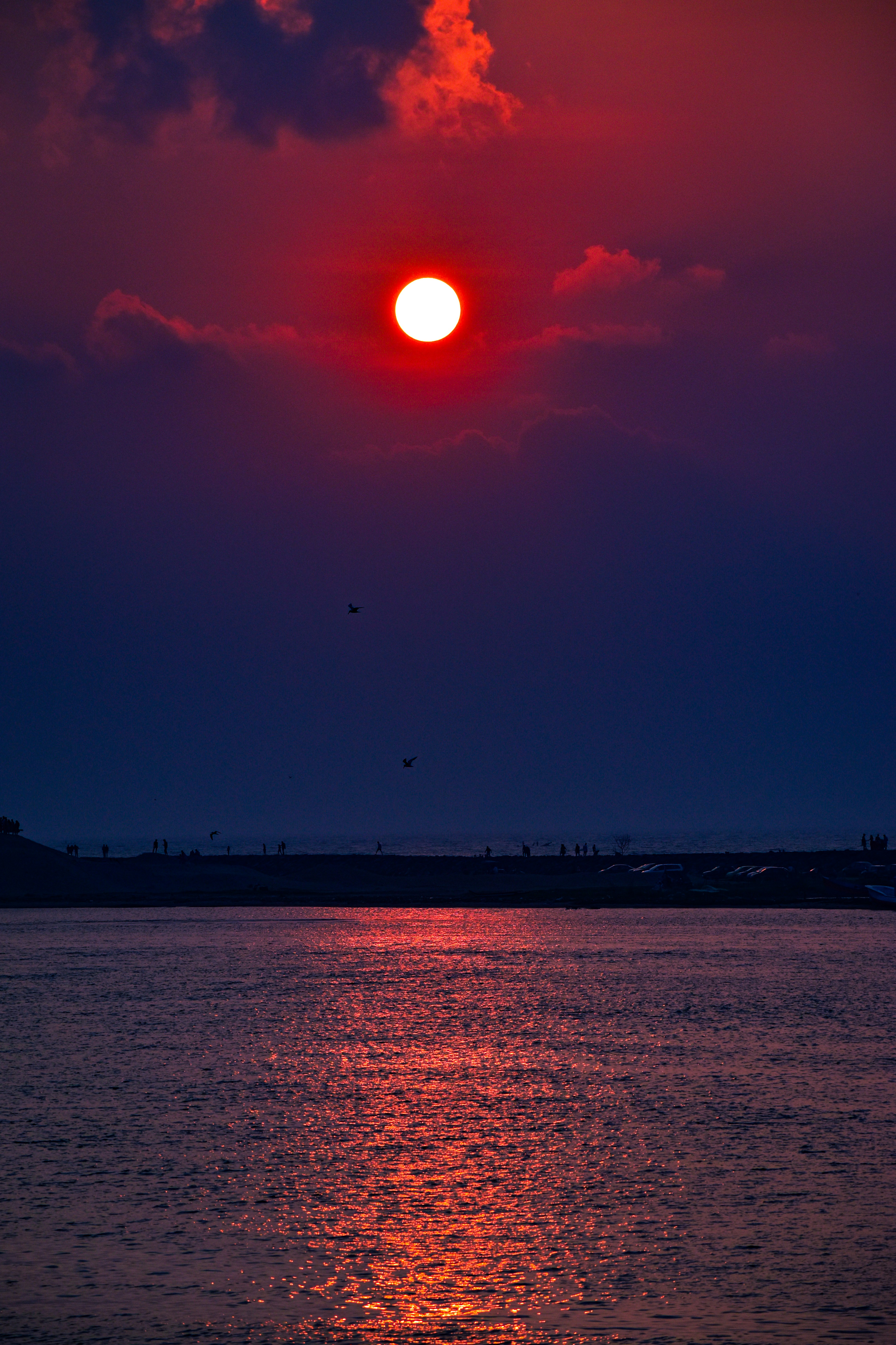 Photo by navi_photography