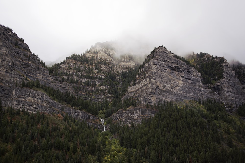 green trees on mountain under white sky during daytime