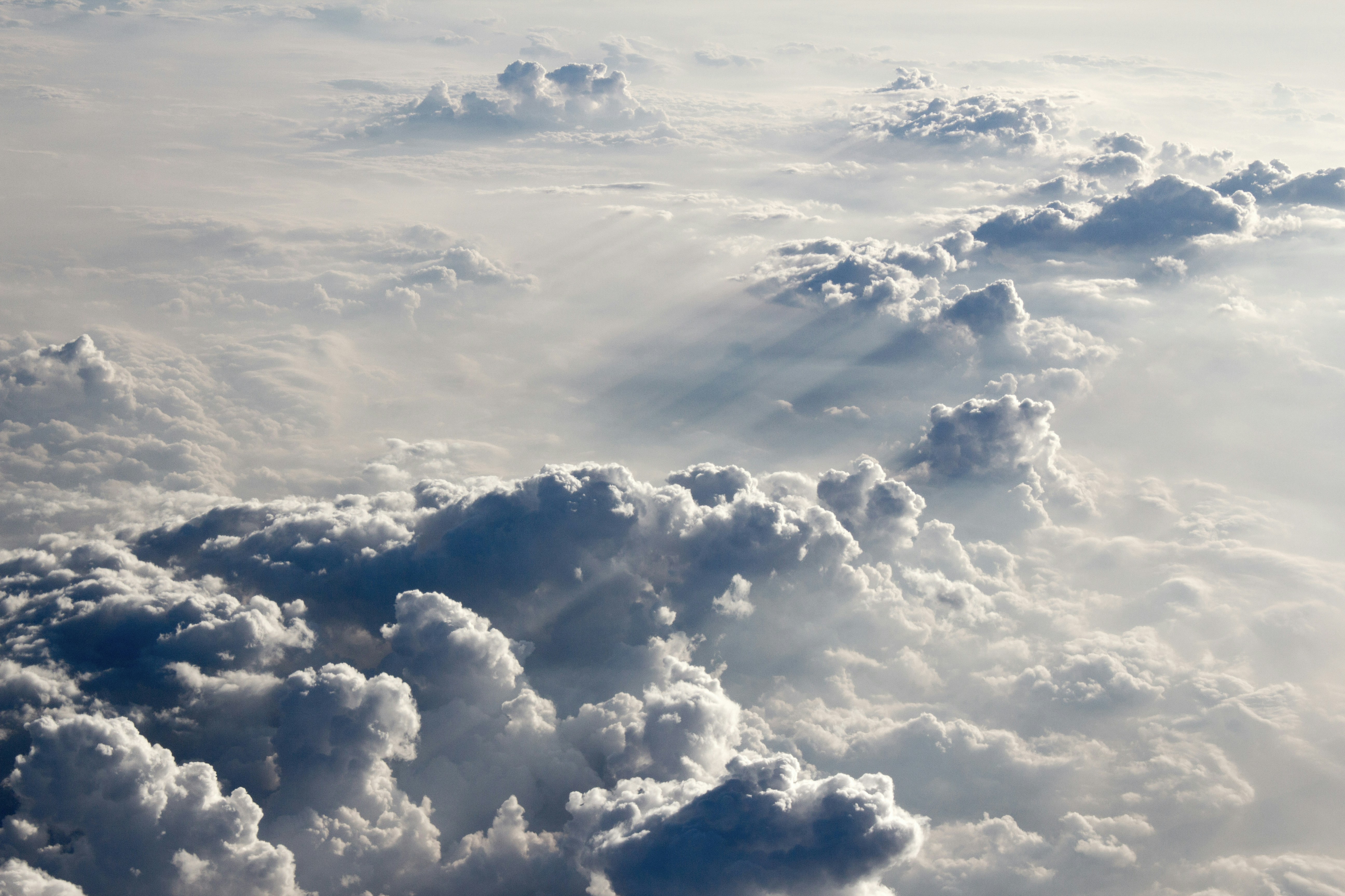 Photo by needfultosay