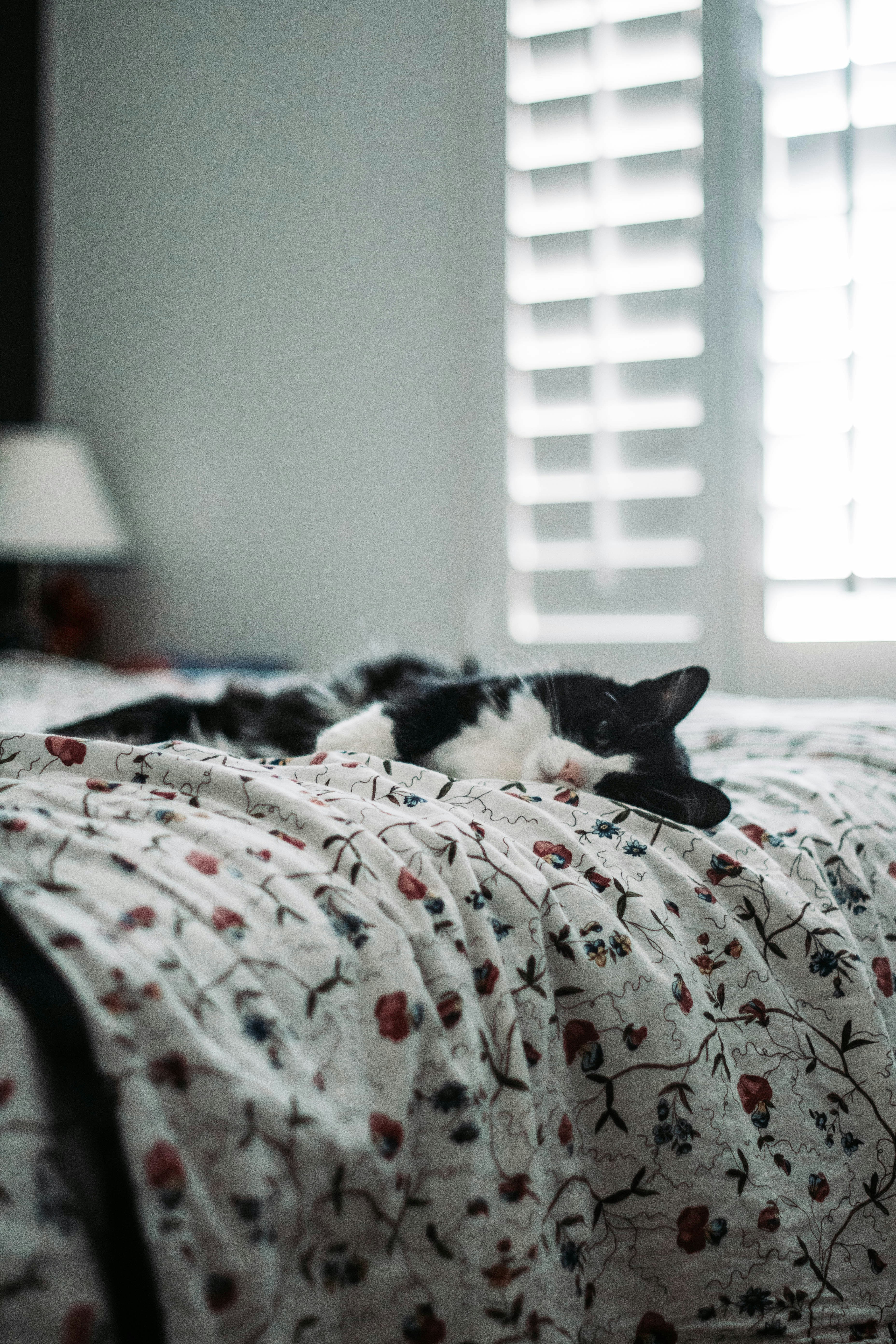 The critics are coming for Gen Z’s latest ‘bed rotting’ trend, but one behavioral scientist calls it the ultimate ‘anti-productivity’ hack