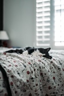 black and white cat on white and red floral bed linen
