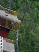 Rainwater cascades off the edge of a lichen-covered rooftop. The background shows a blurred green foliage, indicative of a rainy, overcast setting.