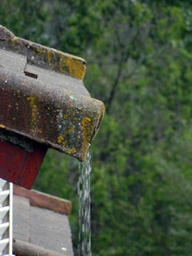 Rainwater cascades off the edge of a lichen-covered rooftop. The background shows a blurred green foliage, indicative of a rainy, overcast setting.