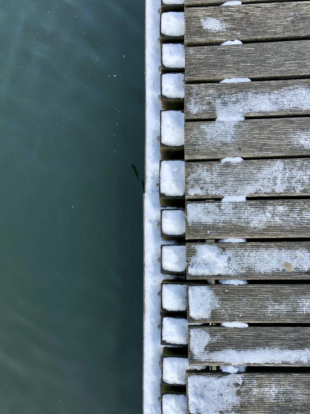 brown wooden dock over green water