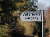 a sign that says veterinary surgery on it