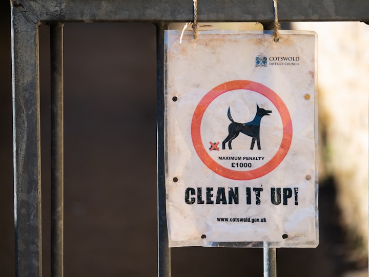 The case of the colour changing dog poo