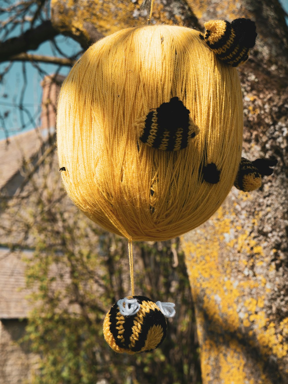 yellow and black lantern hanging on tree during daytime