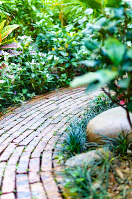 Curved brick walkway winding through a lush Jacksonville garden.
