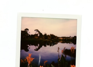 green trees near body of water painting