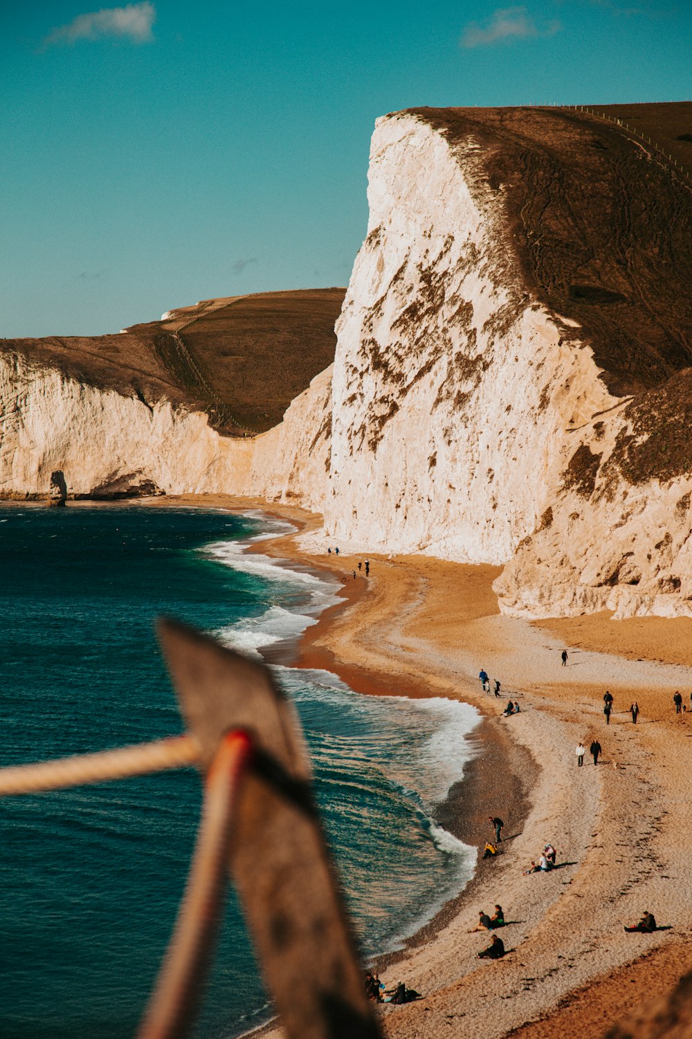 persone sulla spiaggia durante il giorno