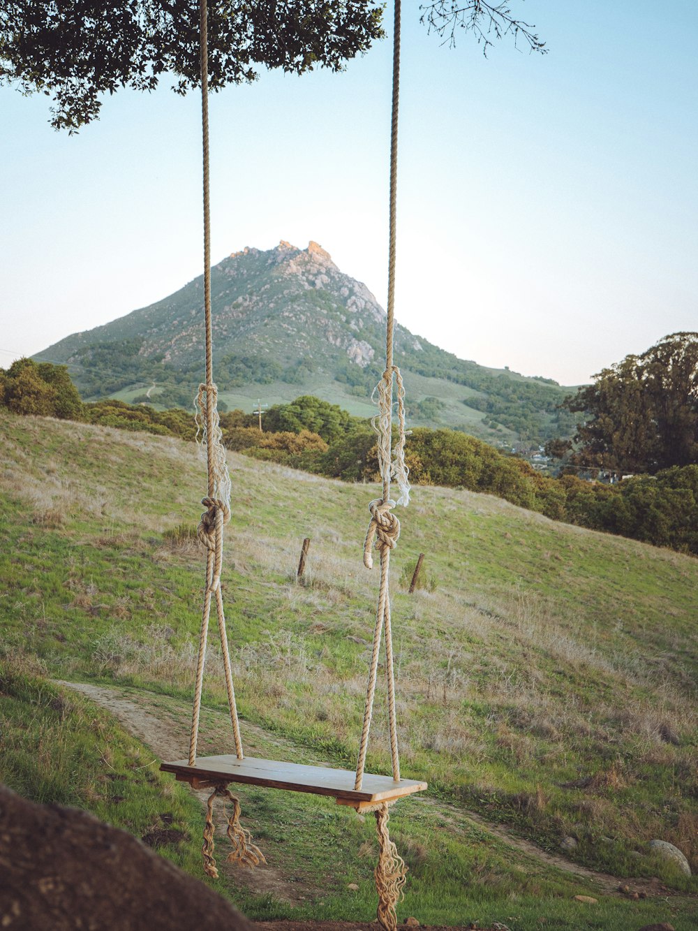 brown wooden swing on green grass field during daytime