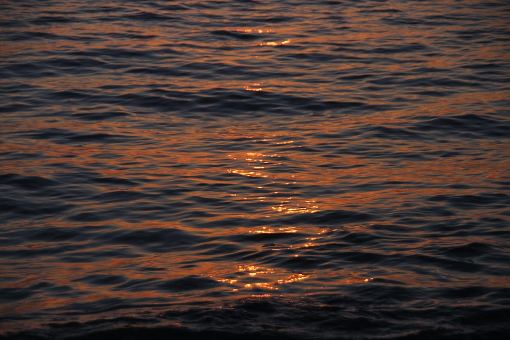 body of water during daytime