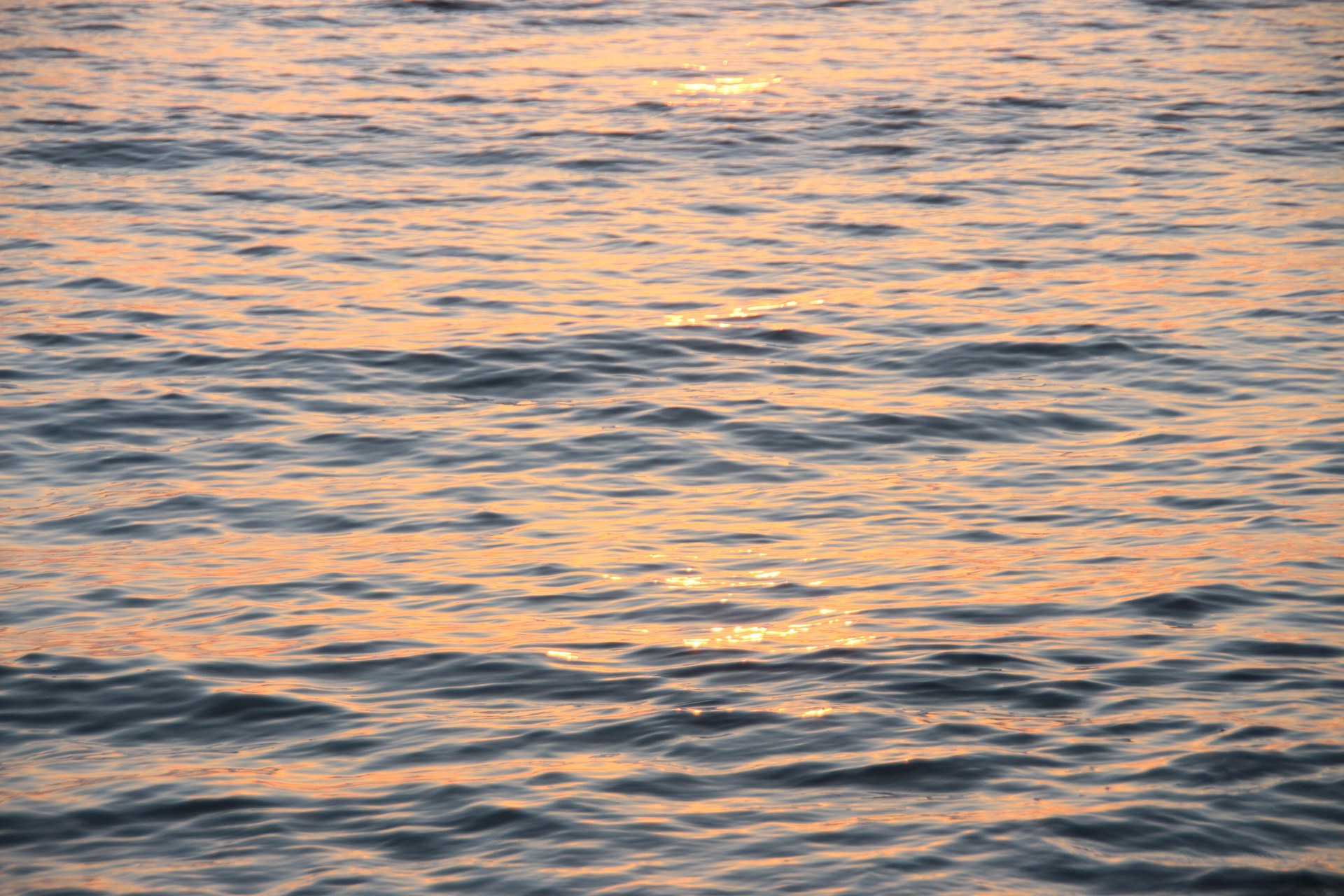 A serene sunrise over calm waters with soft turquoise hues reflecting the brand's vibrant color.