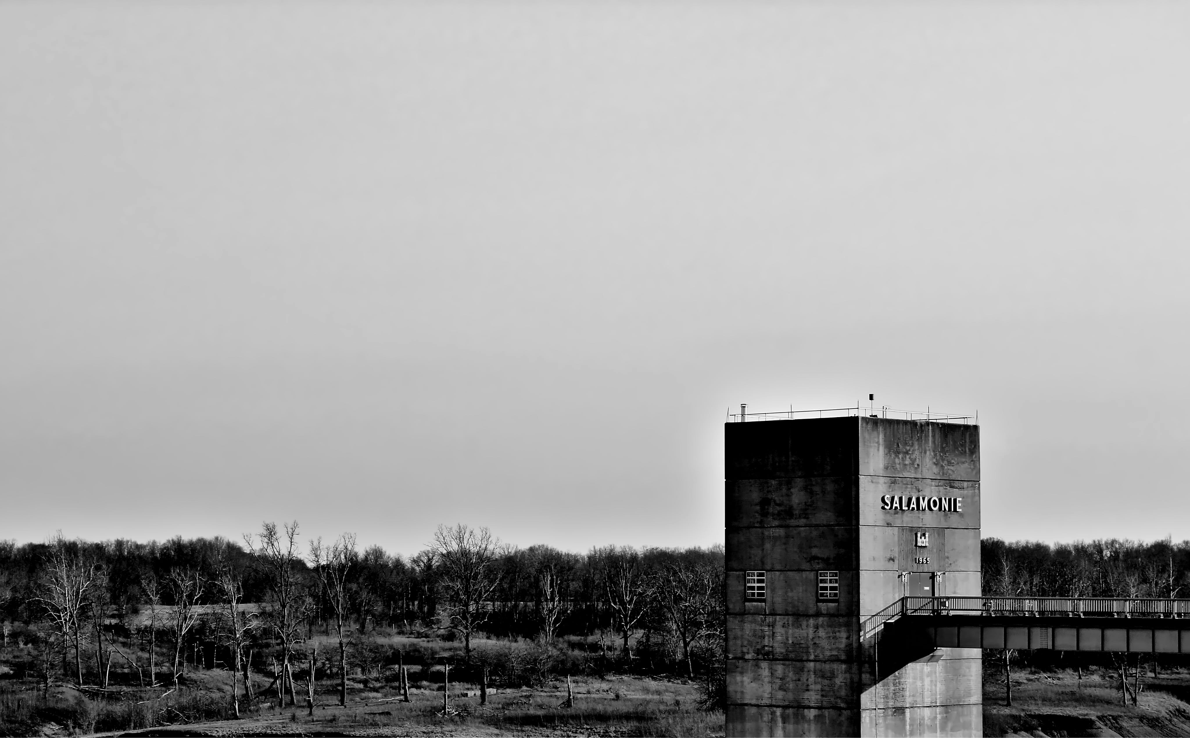 Photo by mrgreatheart