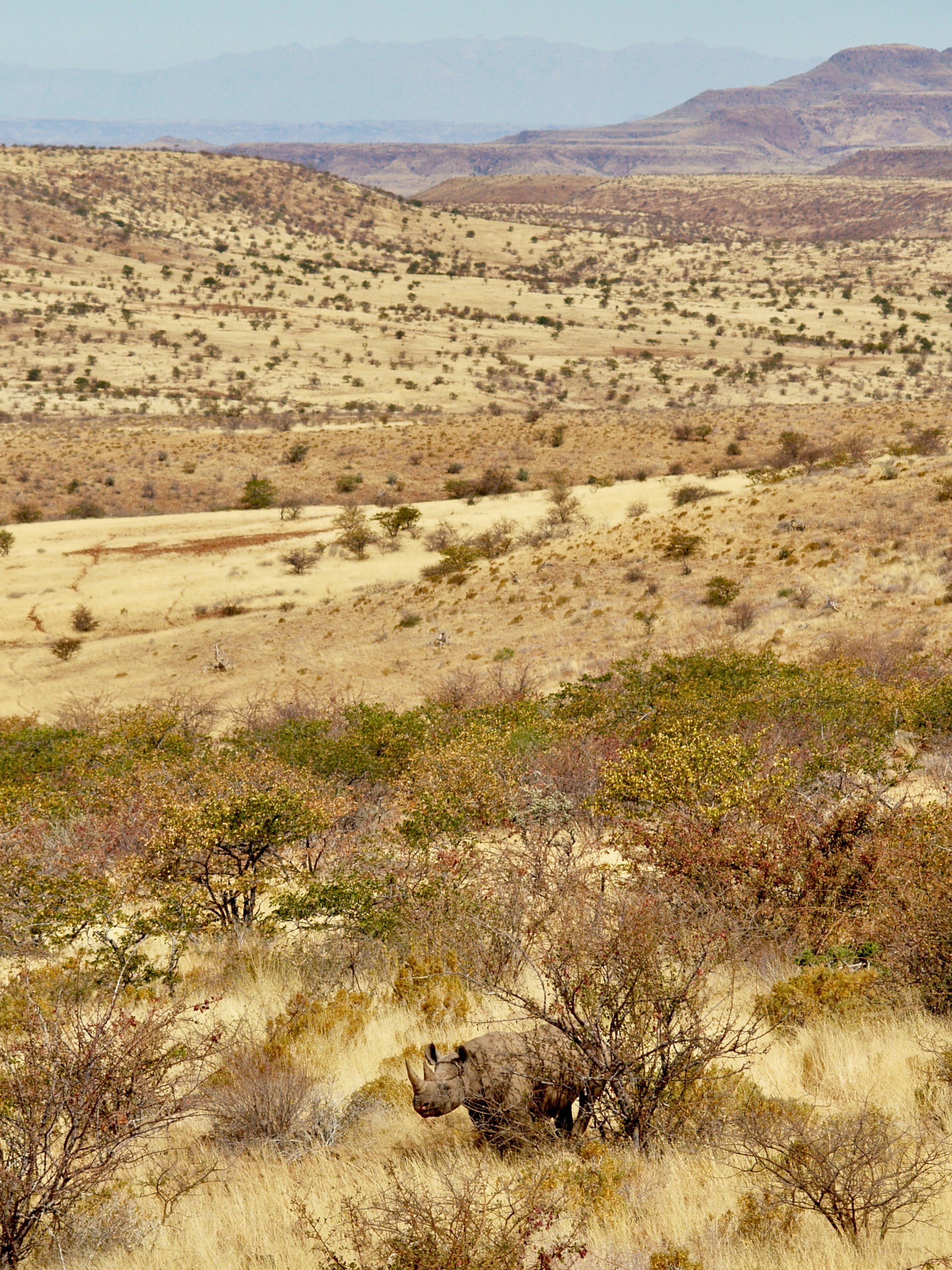 Photo by peterburdon