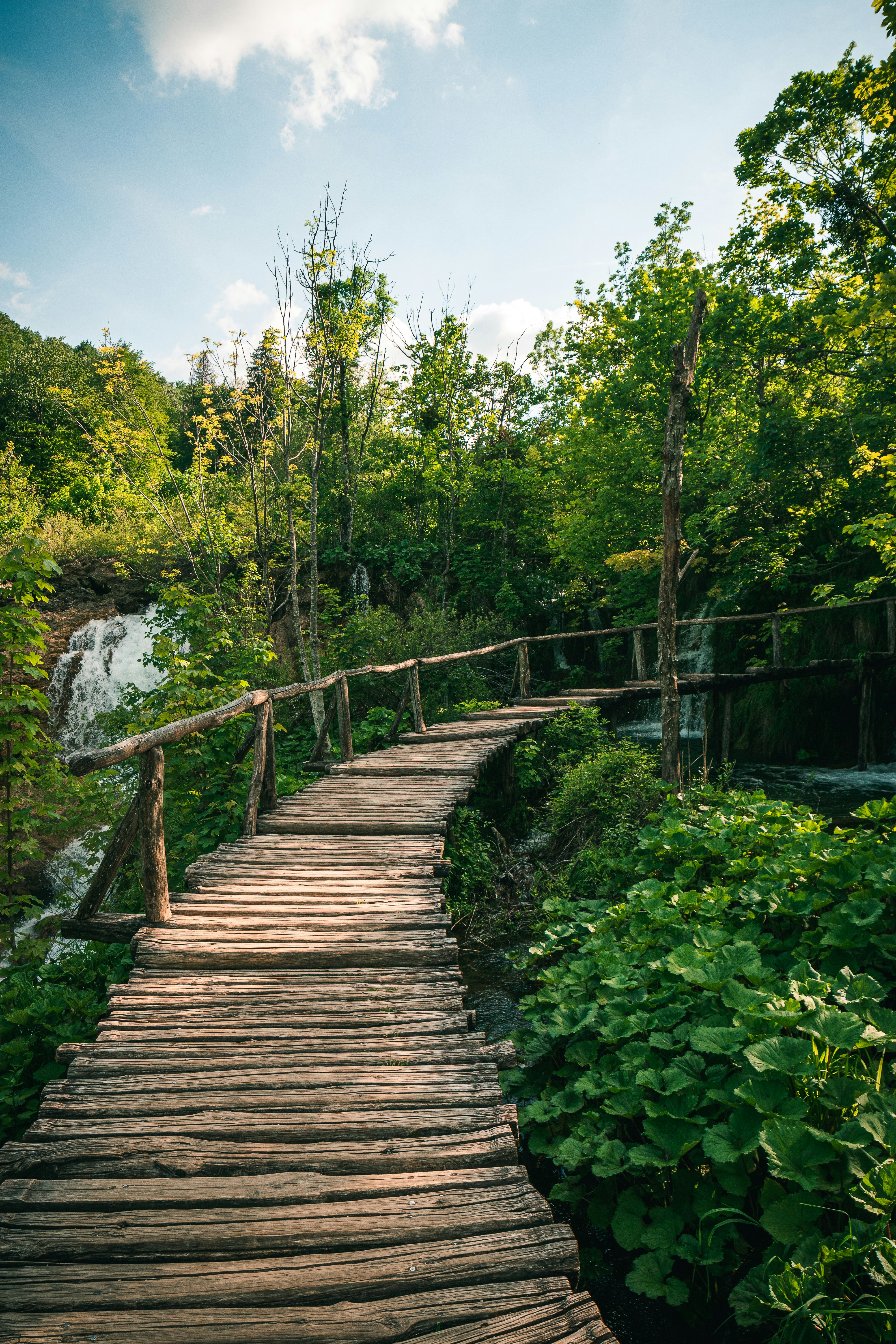 brown wooden bridge over river