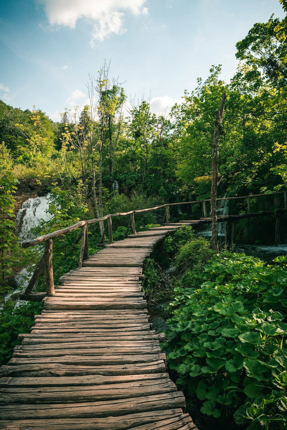 brown wooden bridge over river