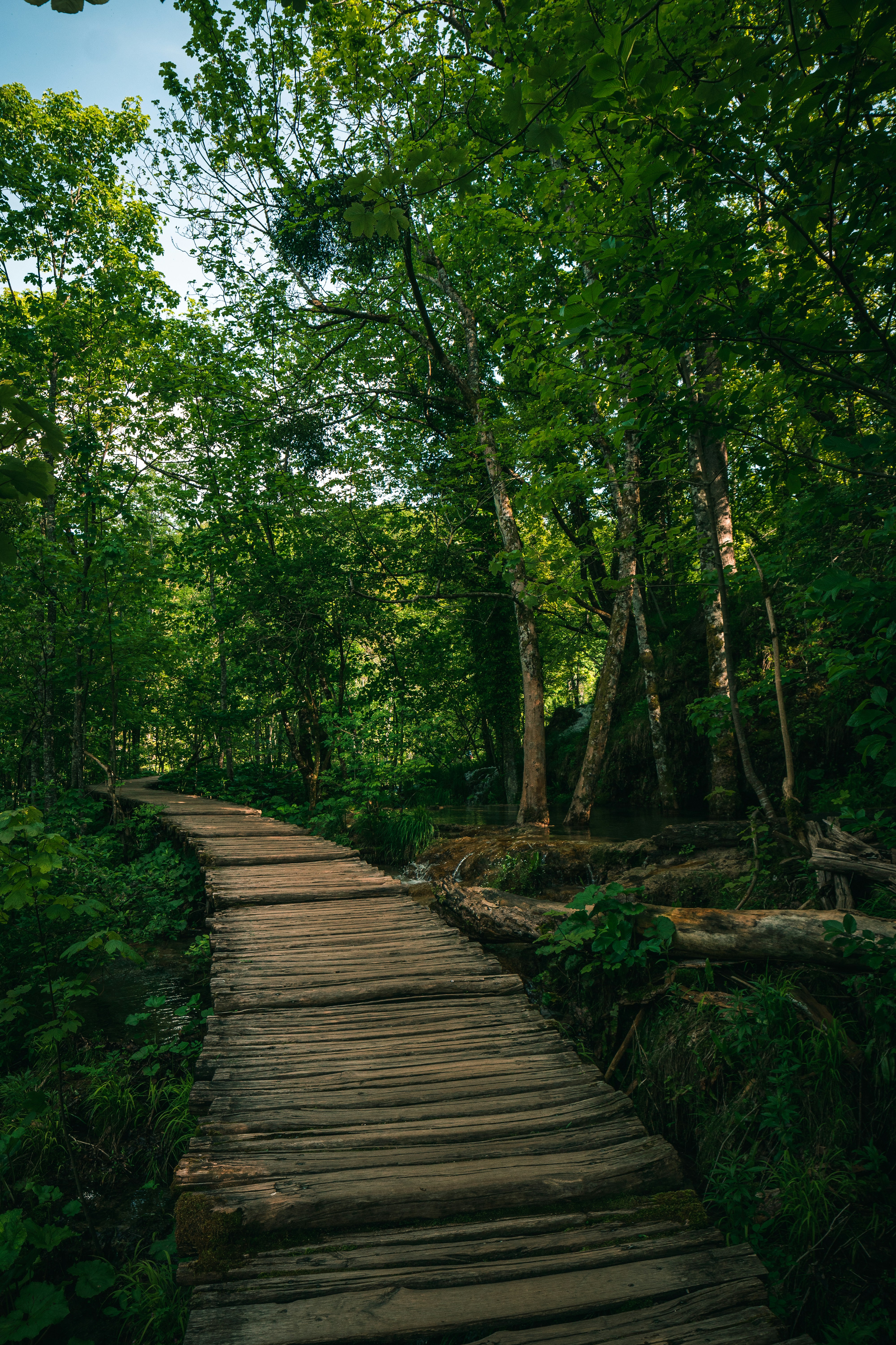 Photo by dereksutton