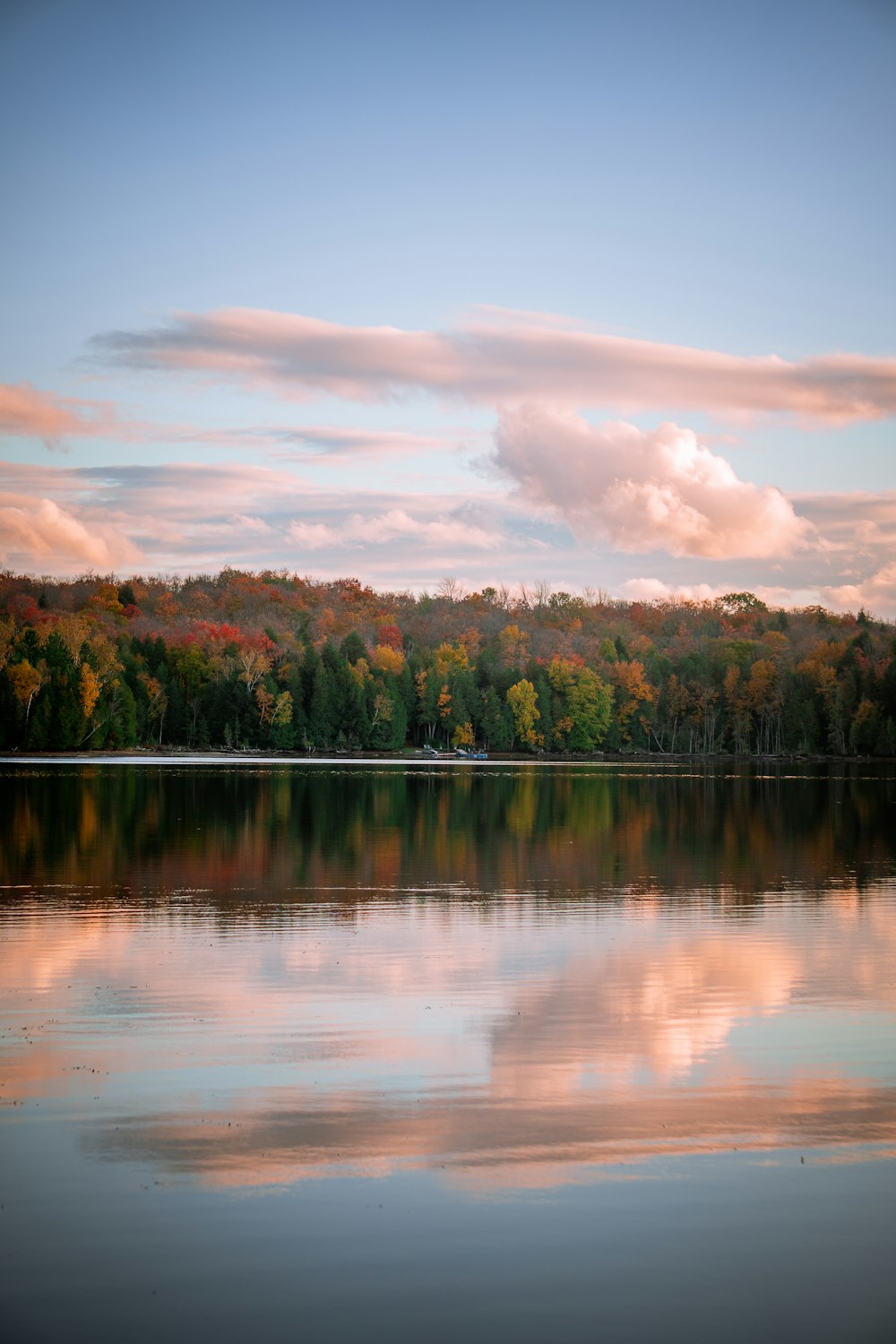 green trees beside lake under cloudy sky during daytime