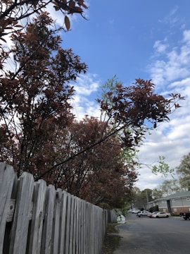 A completed wooden fence alongside a property line.