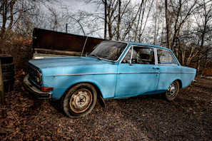 blue sedan parked near bare trees during daytime