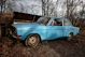 blue sedan parked near bare trees during daytime