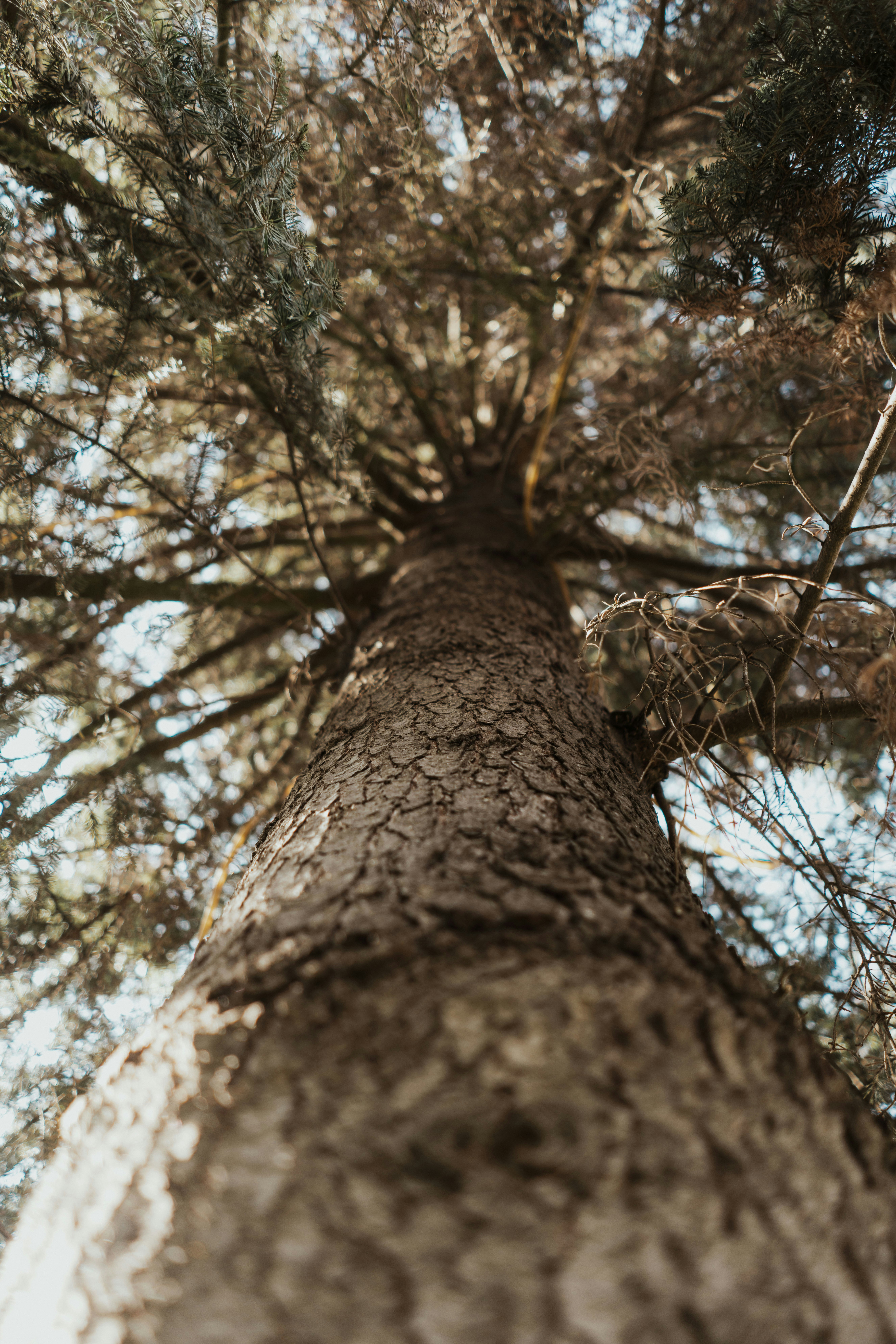 Photo by mihaiteslariu0