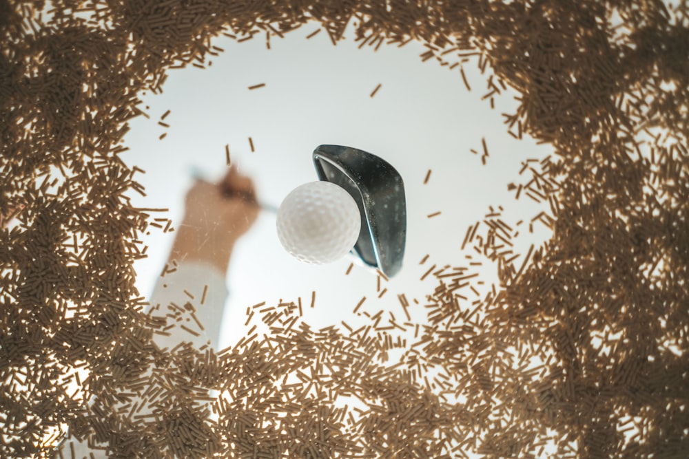 white golf ball on brown and white leaves