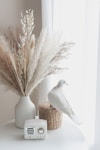 white bird on brown plant