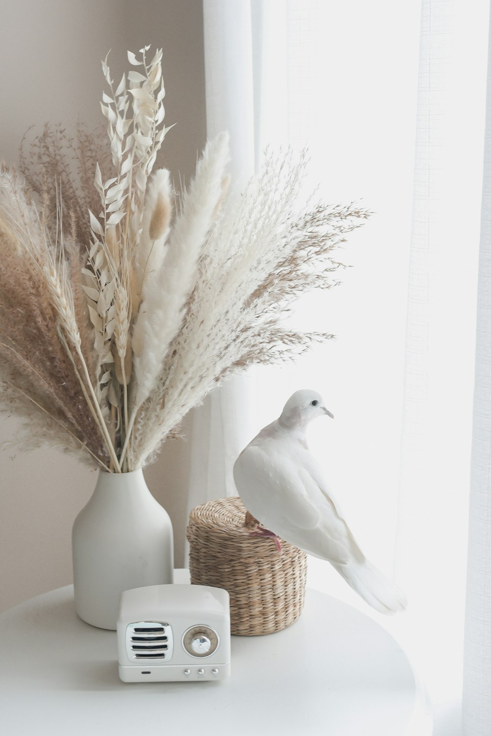 white bird on brown plant