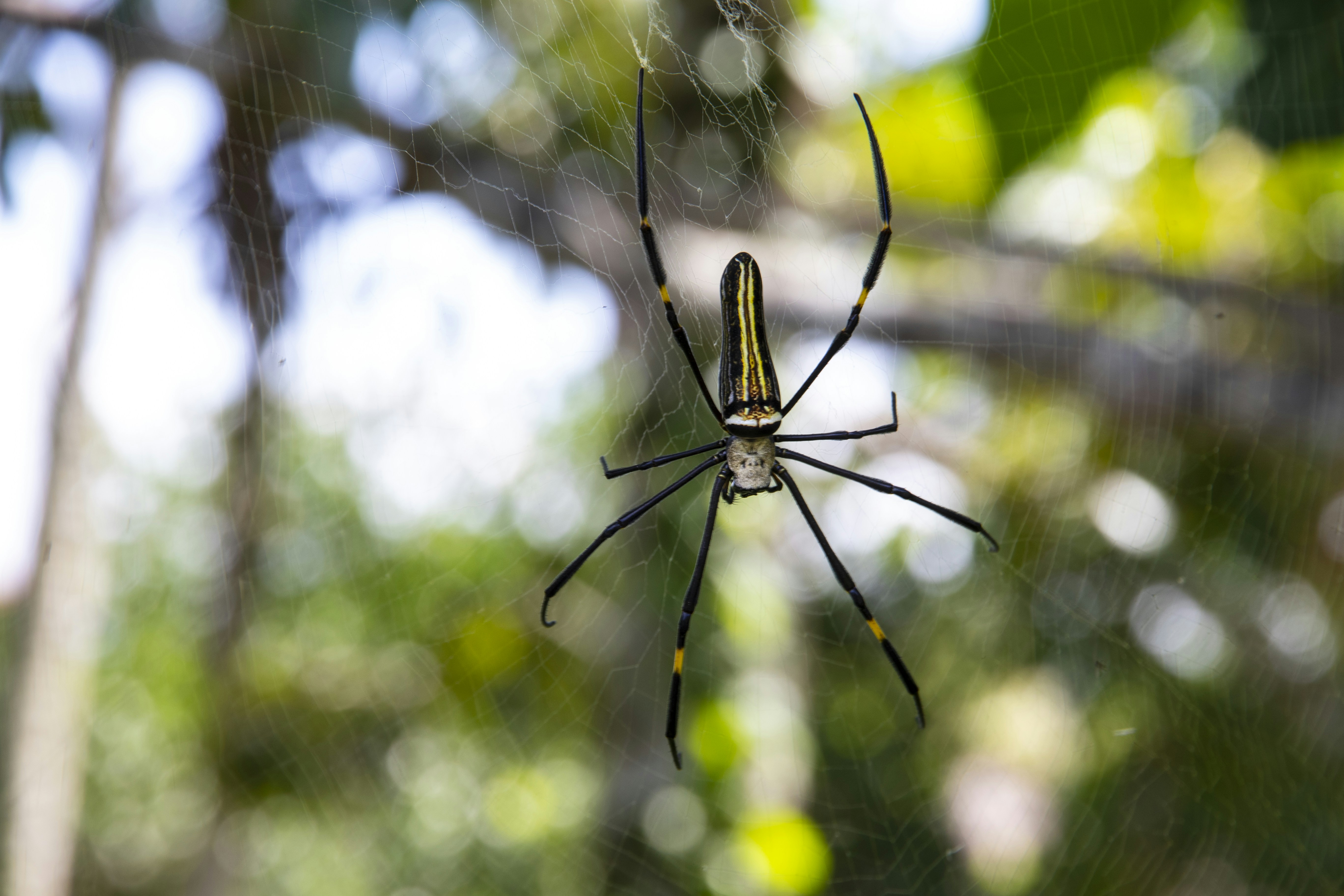 Photo by robincanfield