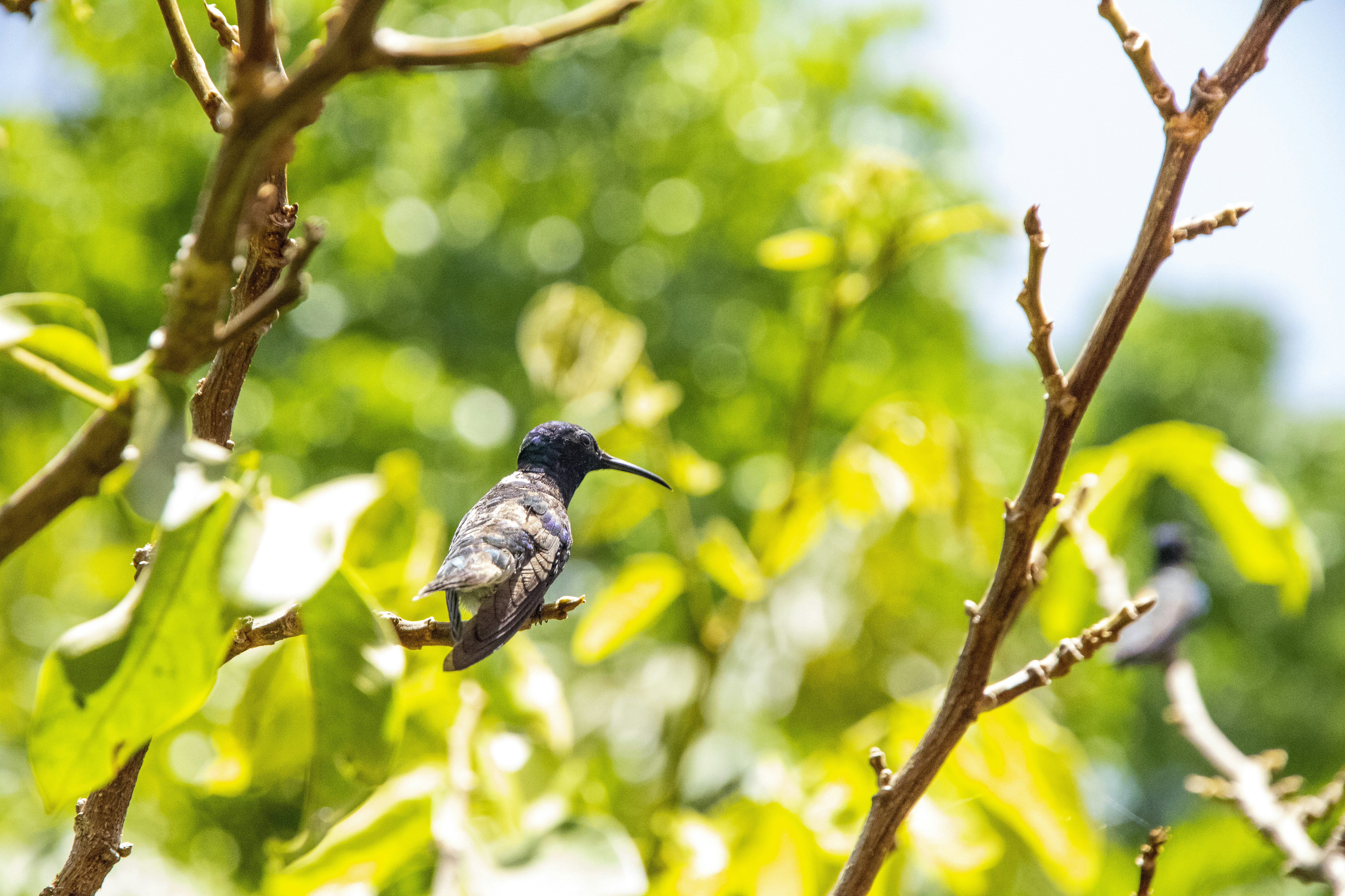 Photo by robincanfield