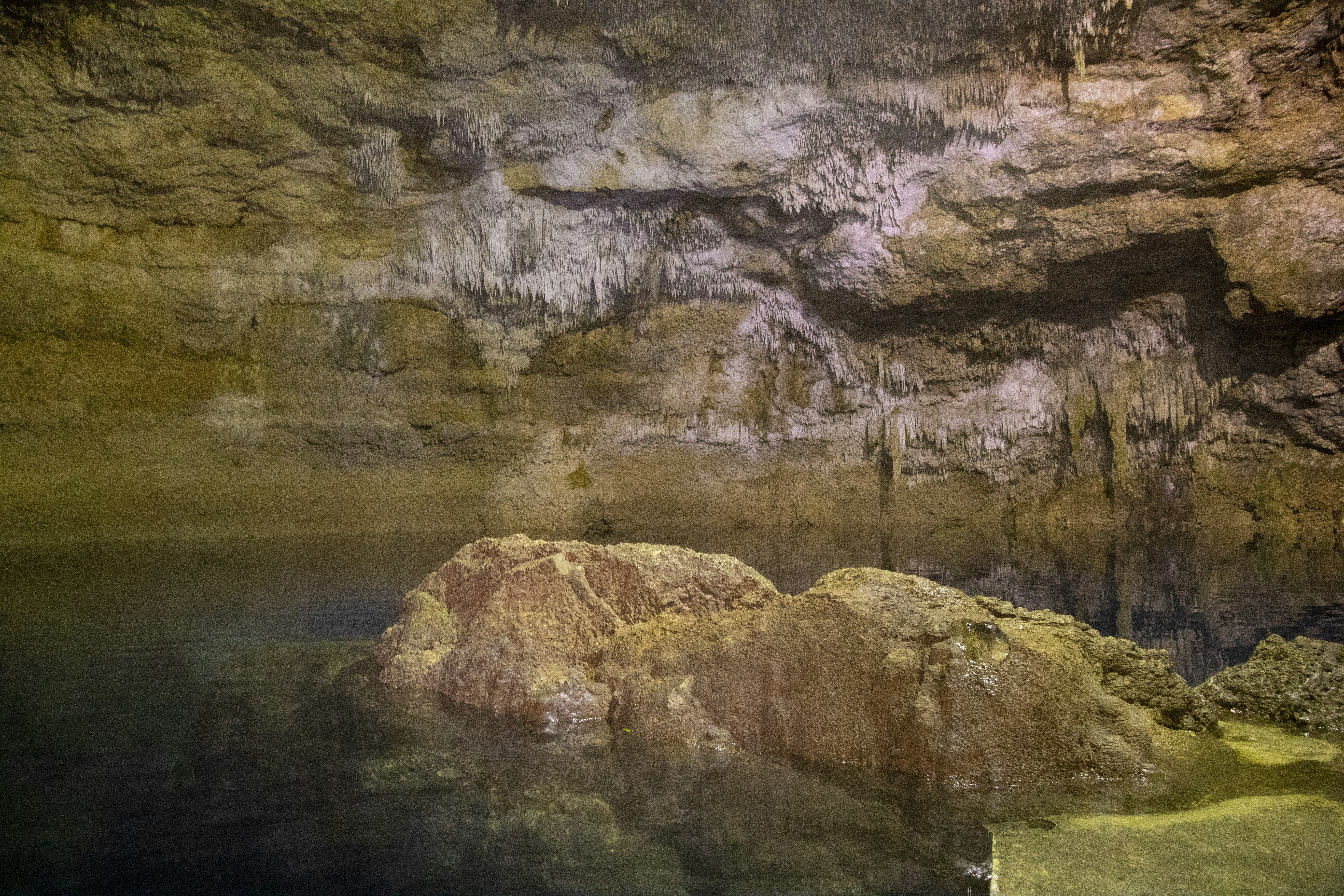 brown rock formation near body of water during daytime, Cenote swimming hole - Mexico