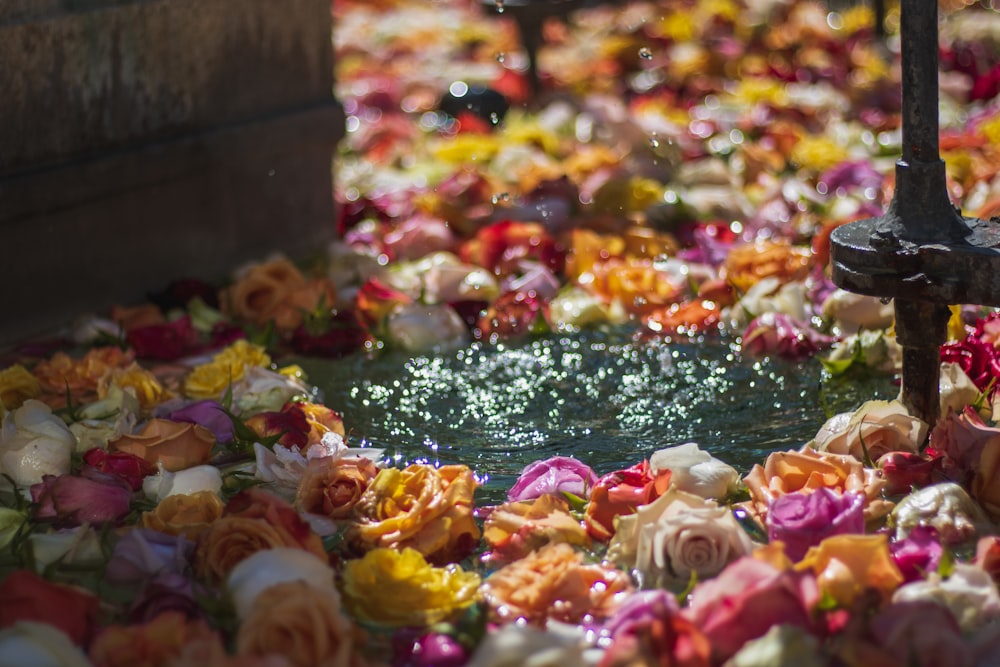 people in water with flowers