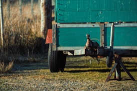 A green wooden trailer is parked on a grassy and gravel surface, with a metal hitch and support structures visible. The background includes tall grass and a fence, suggesting a rural or outdoor setting.