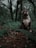 A strong, muscular dog with a dark and white coat is sitting amidst a lush, green forest. The trees tower overhead, with dense foliage creating a natural canopy. The ground is covered in a mix of leaves, twigs, and stones.