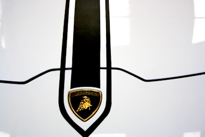 A close-up view of a car's hood featuring a prominent black stripe and an emblem with the Lamborghini logo at the center. The logo has a golden bull on a black shield with the name 'LAMBORGHINI' inscribed above it.