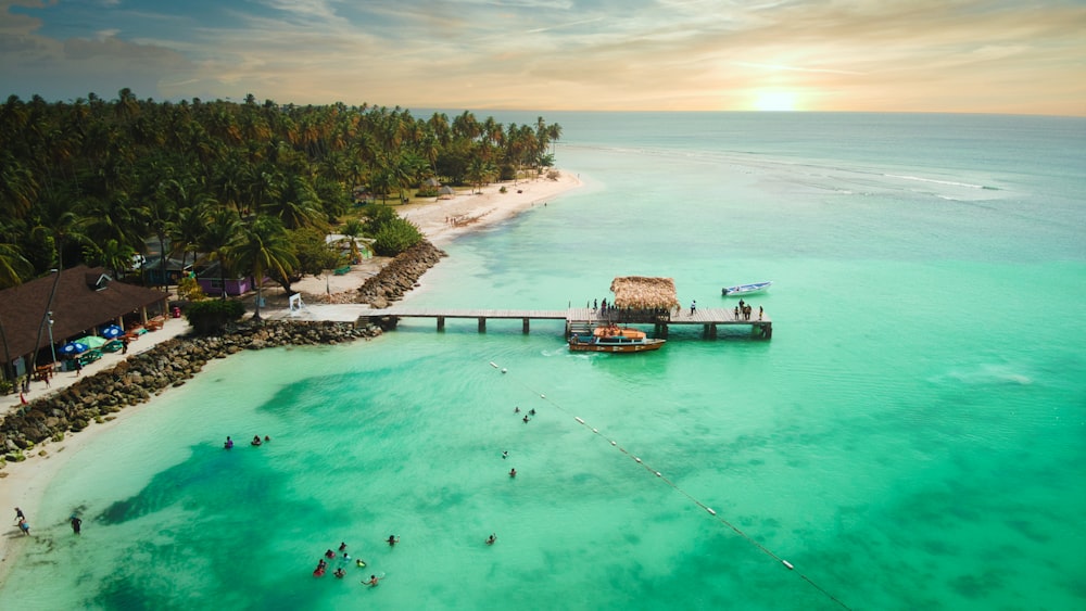 Casa de madera marrón en un cuerpo de agua verde durante el día