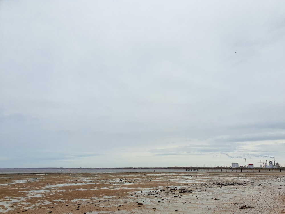 people walking on beach during daytime