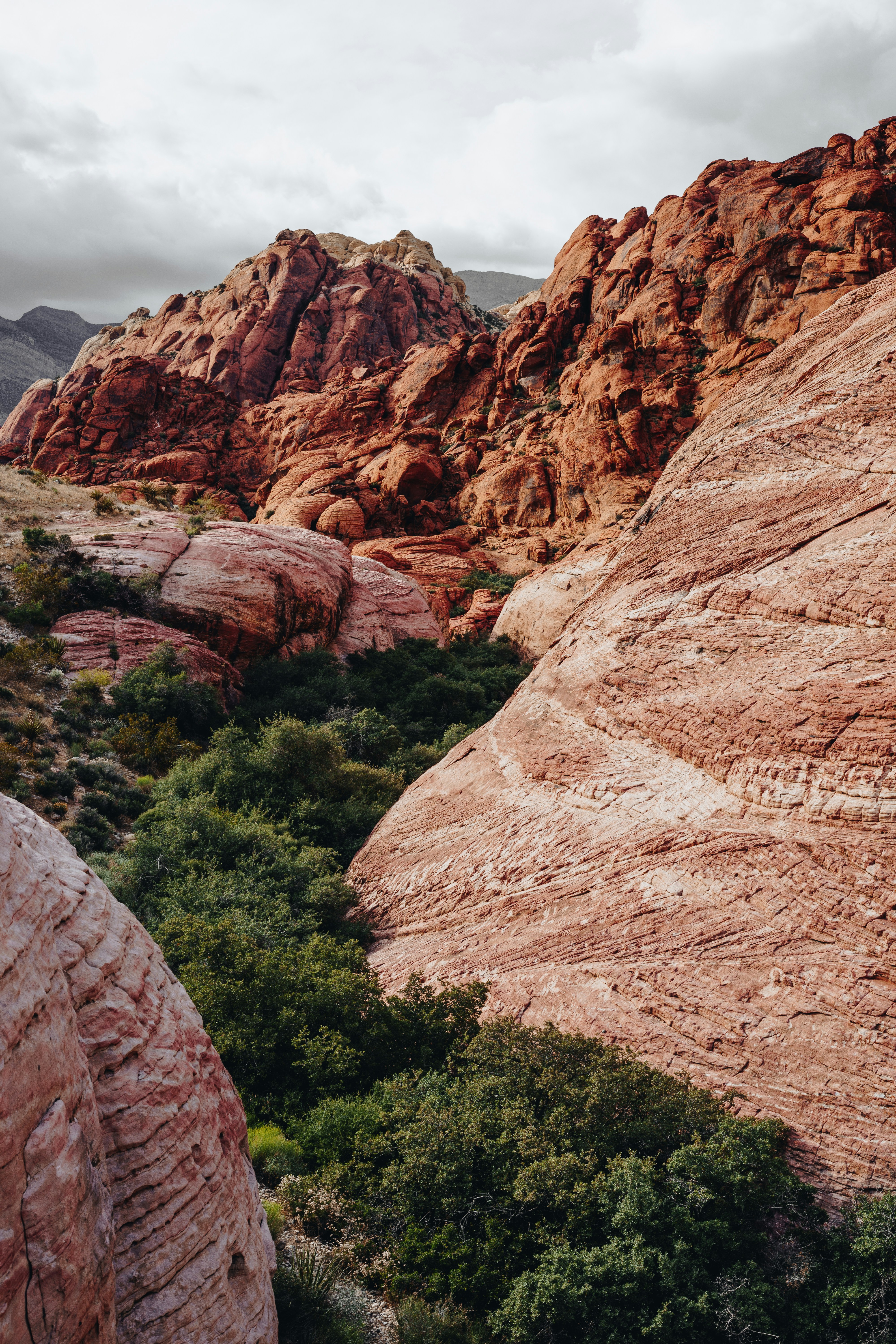 Photo by alexander_kaufmann