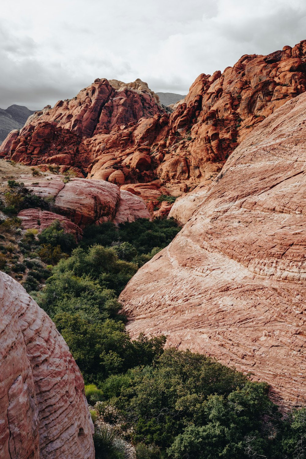 brown rock formation near green trees during daytime