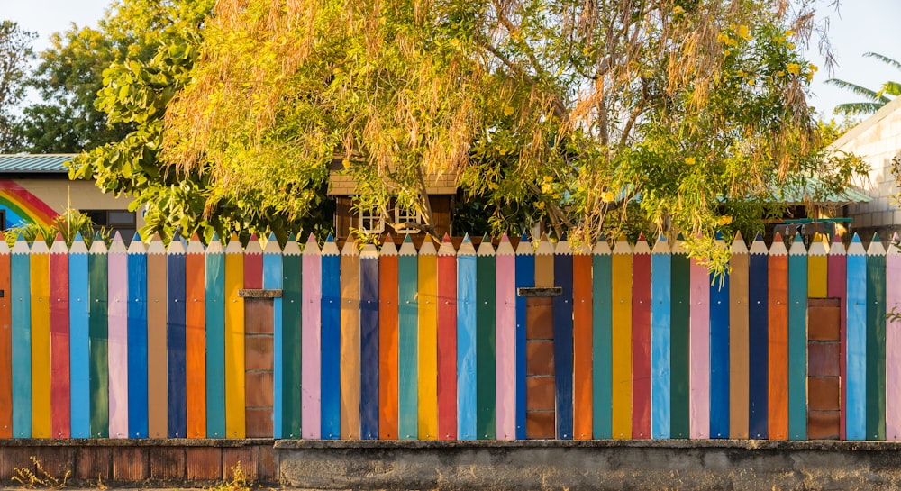 multi colored wooden fence near green trees during daytime