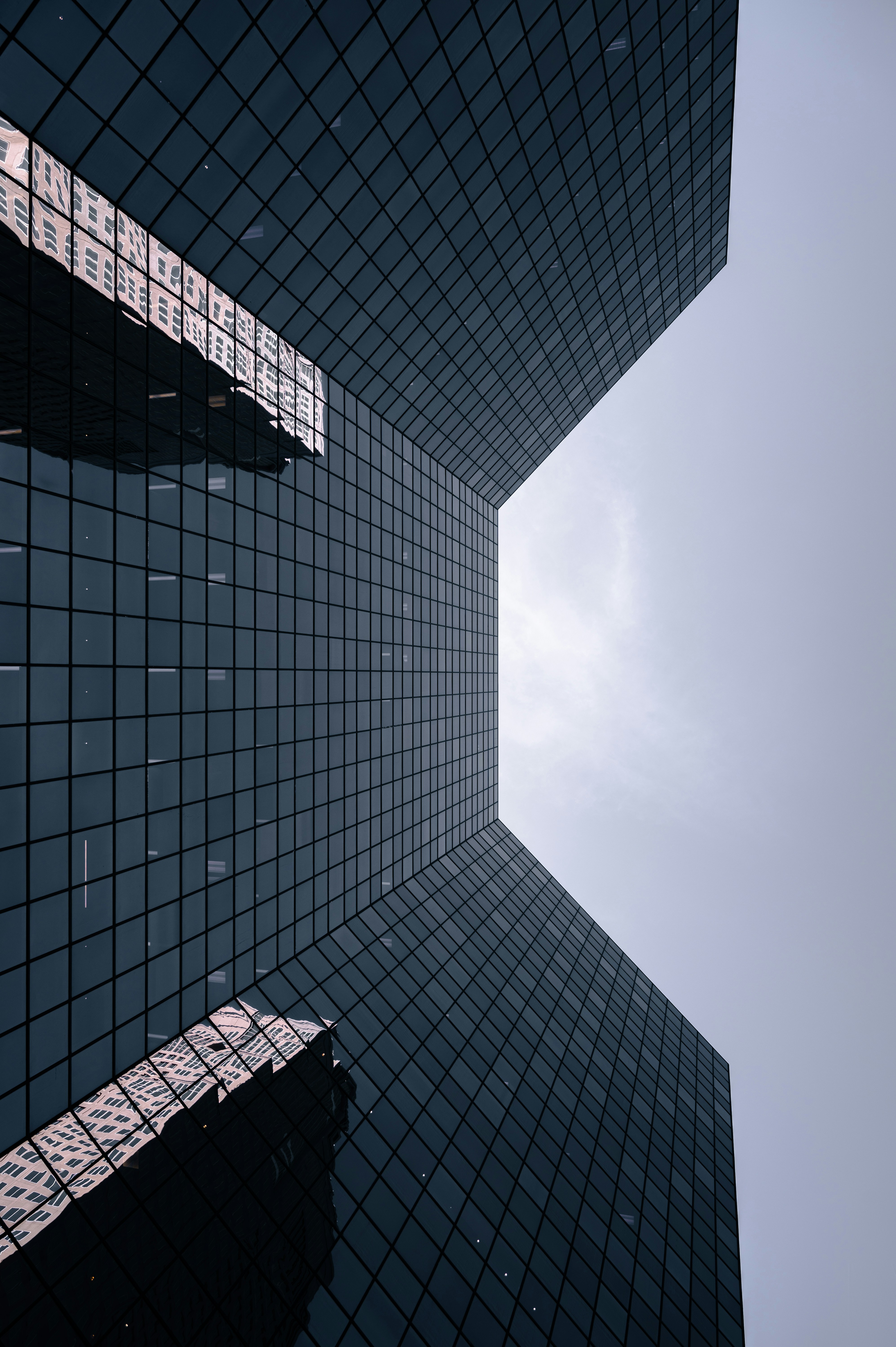 Photo by ryunosuke_kikuno