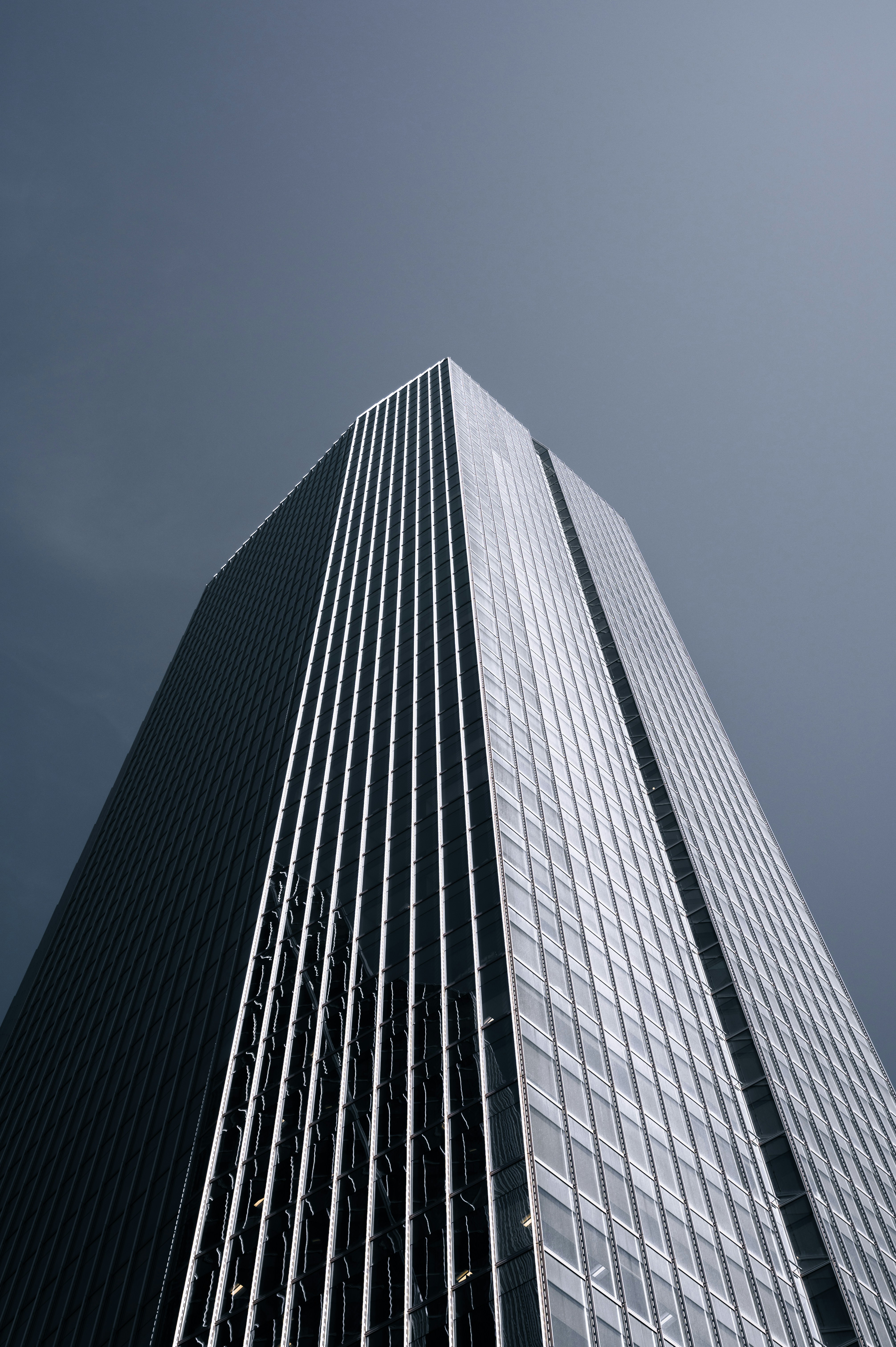 Photo by ryunosuke_kikuno