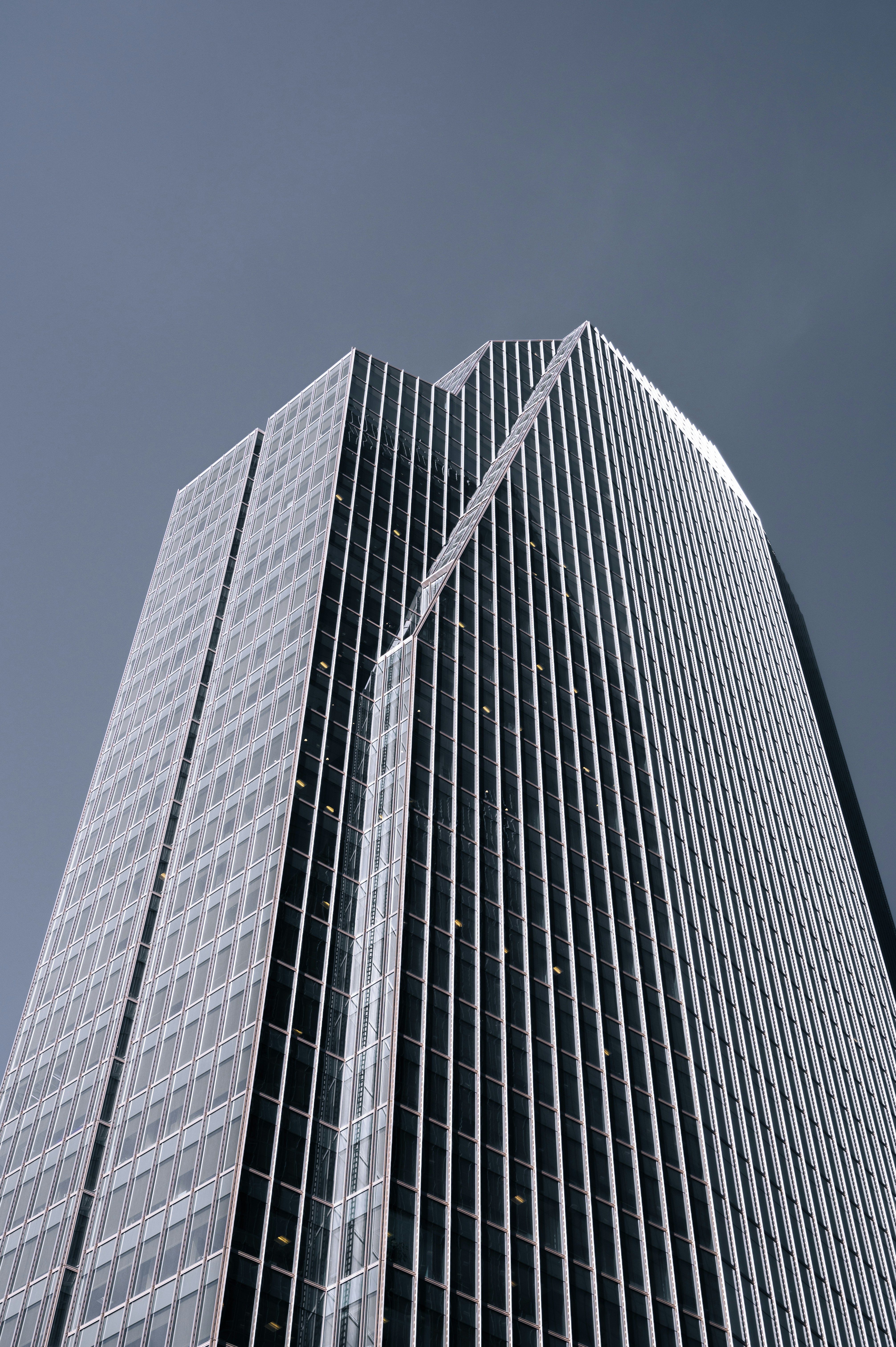 Photo by ryunosuke_kikuno