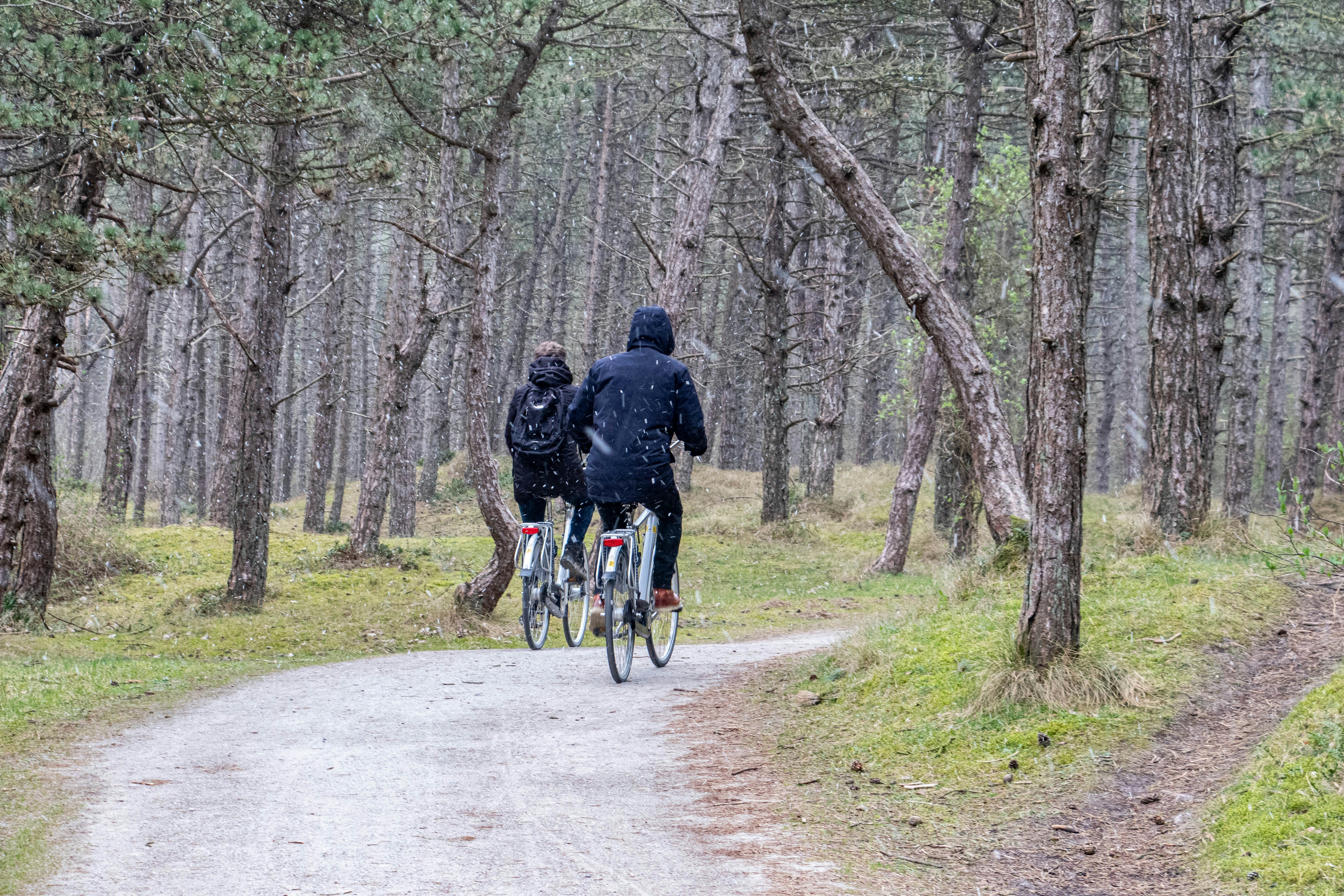 Two people are riding mountain bikes in the woods.